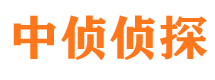 长岭侦探公司